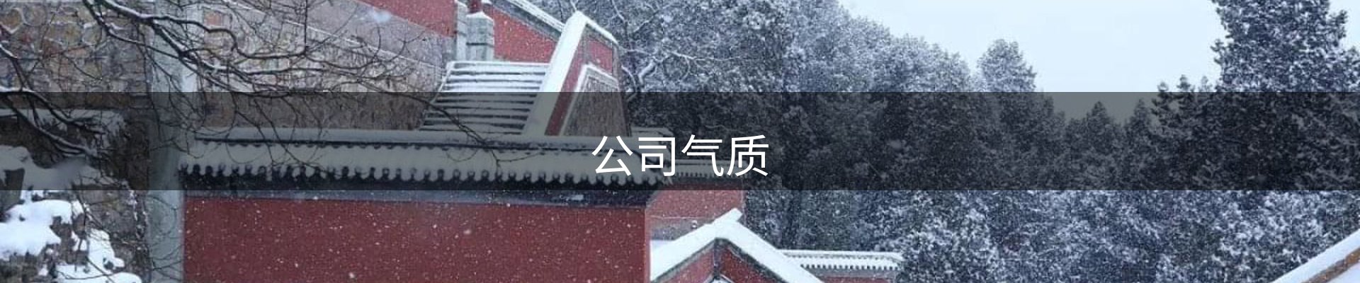 公司气质